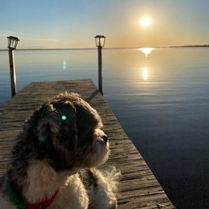 Meet your Posher, Andrew